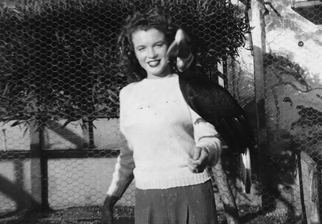 Marilyn Monroe az állatkertben, 1941-ben.