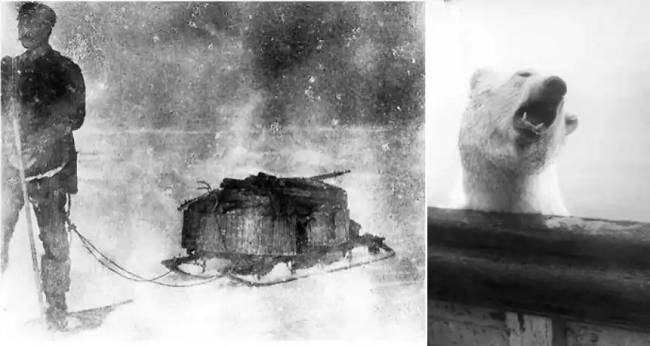 Fotó: N. Strindberg