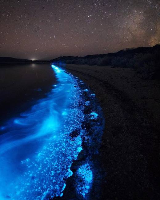 A biolumineszcens (élő organizmus kémiai reakció hatására fényt bocsát ki) fitoplanktonok fényükkel mesébe illővé varázsolják éjszakánként a Maldív-szigetek tengerpartját.