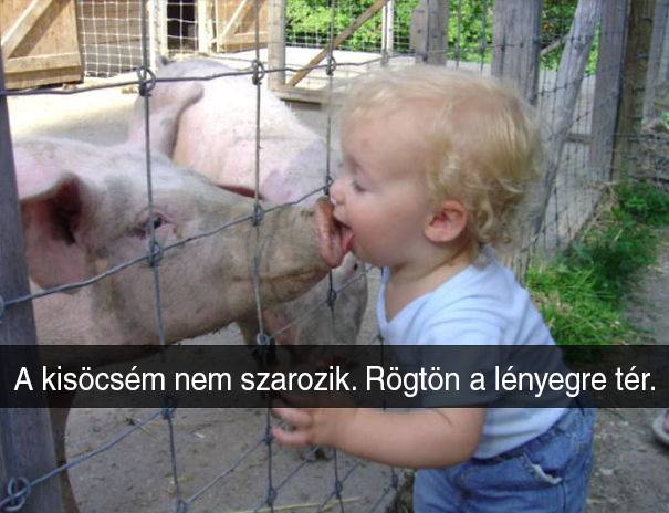 Ismerkedés a természettel… 😀