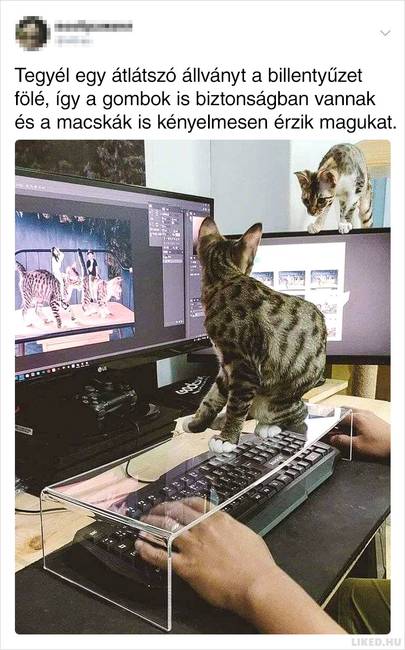 17 ember, aki pontosan tudja, hogyan kell kezelni a világ dolgait