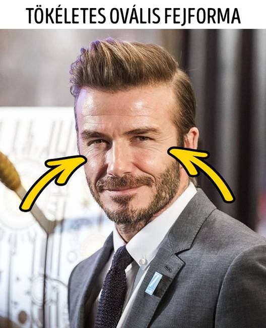 David Beckham (88.96%)