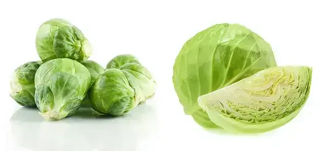 gyümölcsök és zöldségek teszt