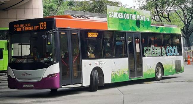 Szingapúrban egy kísérlet részeként 10 városi busz tetején növénykertet hoztak létre.