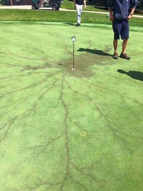 Ez történik, ha villám csap egy golfpálya zászlajába.