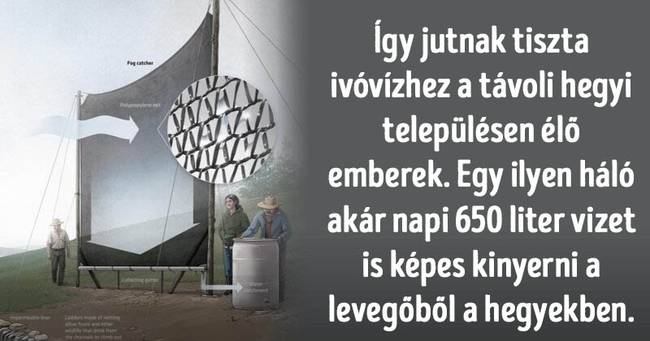 15 hihetetlen rejtvény, aminek a megoldása figyelemre méltó tudást és műveltséget igényel