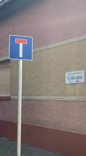 Biztató kilátások.