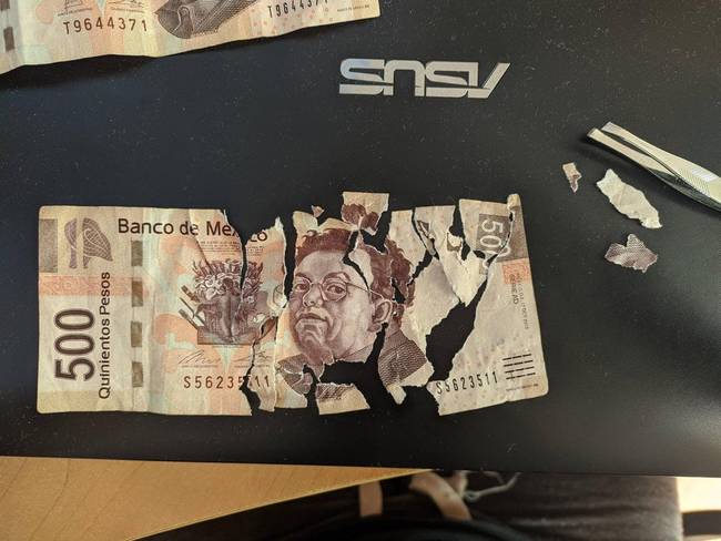 „A kiskutyám megtalálta a dugi pénzem és megevett néhány bankjegyet."
