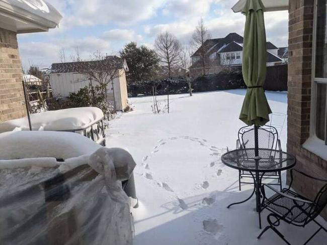 „Kiengedtük sétálni a kutyát, de ő meggondolta magát."