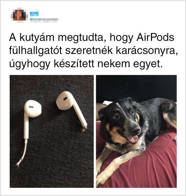 A váratlan ajándék a legjobb ajándék.