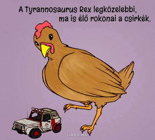 20 őrült tény az állatokról, amit nem tanítottak meg nekünk az iskolában
