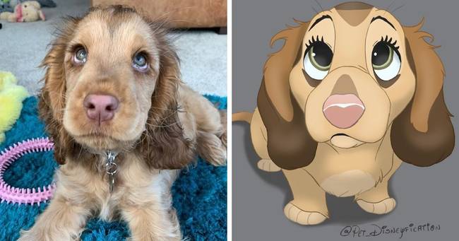 Winnie a való életben is olyan, mint egy Disney-karakter