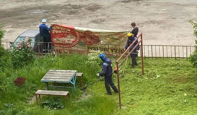 „Így nyírták a füvet a városomban, hogy az apró kavicsok ne sértsék fel az autókat. Apróságnak tűnik, de nagyon jó ezt látni."