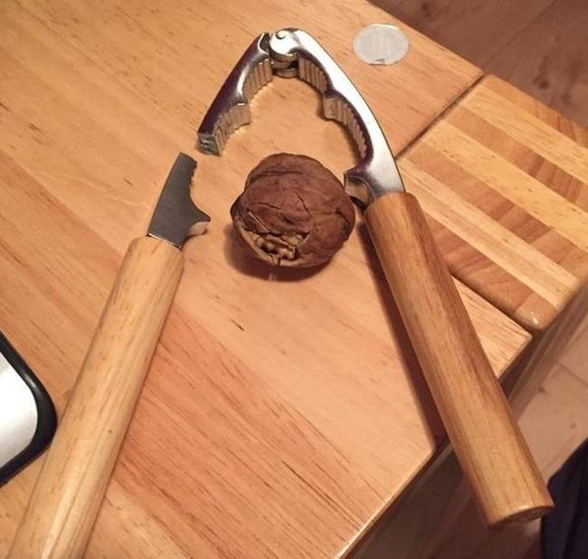 „Ezt a menetet most Te nyerted, Dió!"