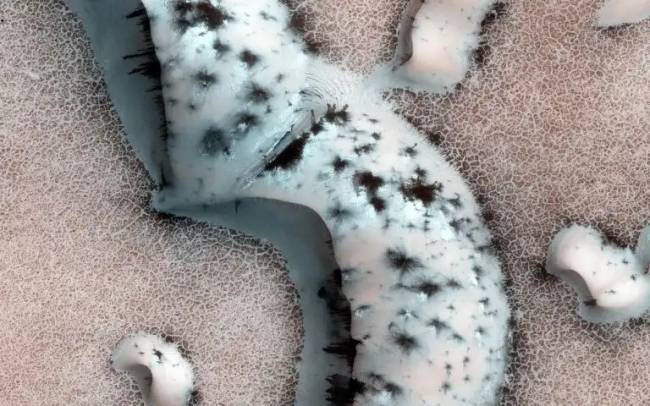 Ezen a HiRISE képen különféle sötét alakzatok és világos foltok láthatók a Mars északi-sarki régiójának homokdűnéin.