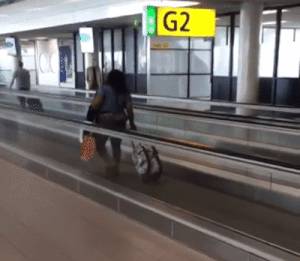 Azért a kitartása mindenképpen becsülendő.
