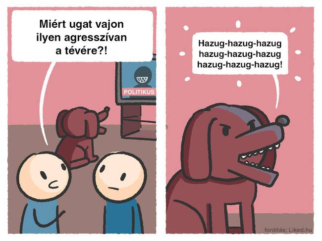 Kiderült, hogy a kutyák képesek felismerni, ha egy ember hazudik.