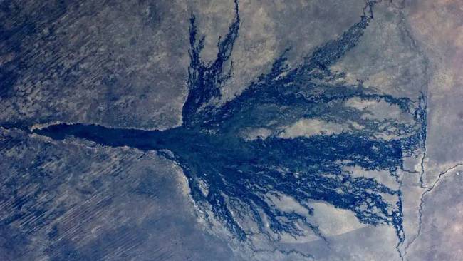 Okavango Delta felülről. A jobb oldalon a Kalahári-sivatag széle látható.