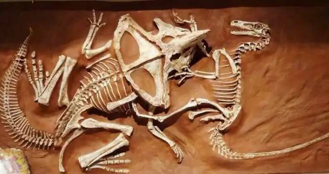 Dinoszauruszok történelem régészet 012