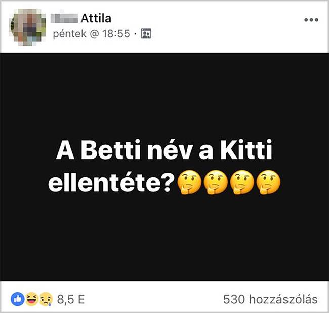 Valakinek meg kellett már kérdeznie.