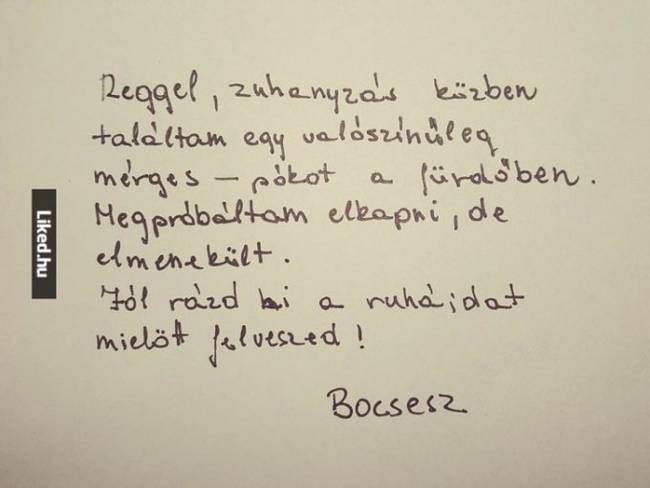 Bocsesz…