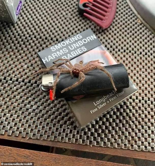 A dohányzásról való leszokás egyik legbiztosabb módja.