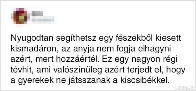 15 népszerű tévhit, amit egész életünkben rosszul tudtunk