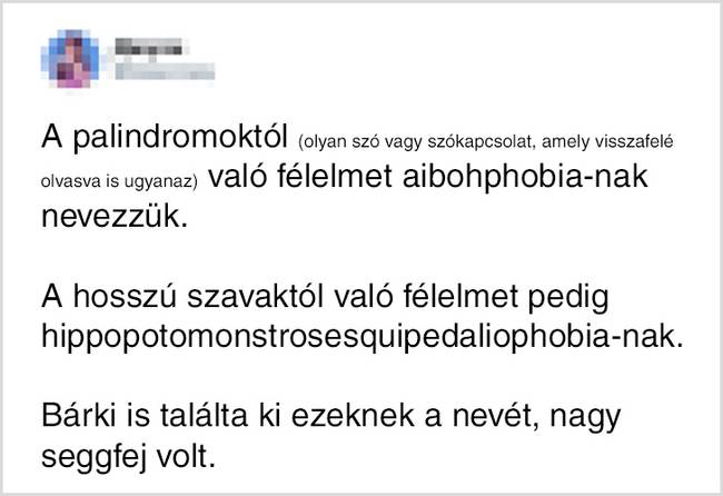 Humoros kedvében lehetett az elnevezőjük.