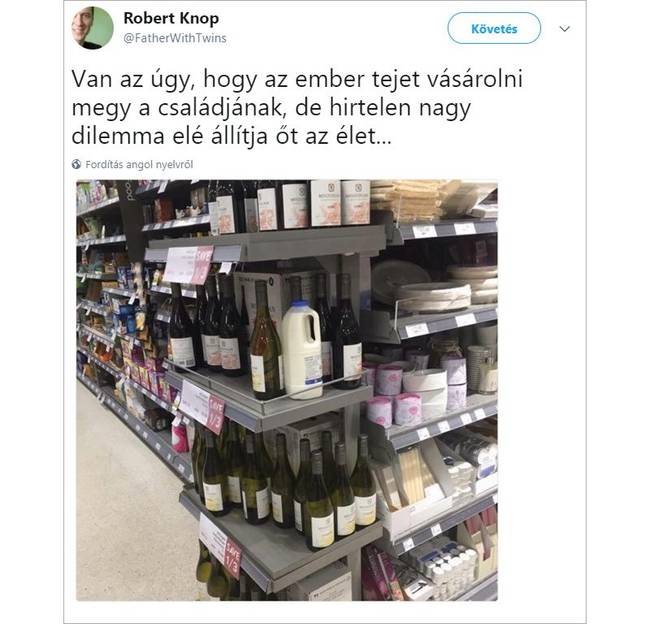 17 kép, ami jól mutatja, hogy milyen kiszámíthatatlan vállalkozás a gyereknevelés