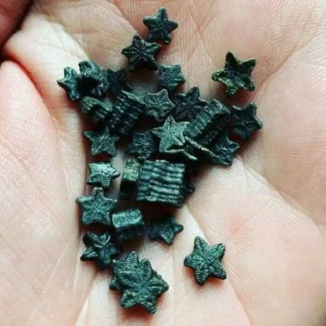 Dinoszauruszok történelem régészet 038