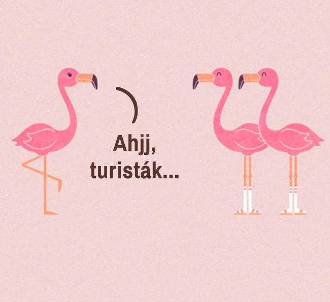 Turisták.