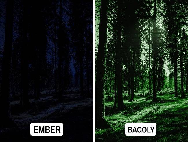 Bagoly