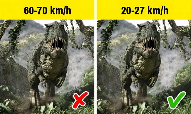 A modern kutatások szerint a Tyrannosaurus jóval lassabb futó volt, mint gondoltuk. Valójában egy kisportolt ember is könnyedén képes lett volna lehagyni.