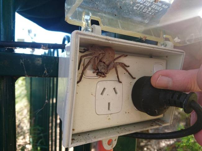 A villanyszerelők élete sem csak móka és kacagás.
