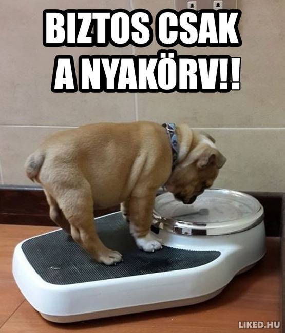 21 fogyókúrázással kapcsolatos mém, ami többet mond minden szónál