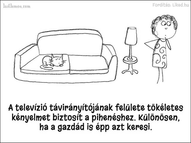 20 humoros illusztráció, ami megmutatja, hogyan kell jó macskának lenni