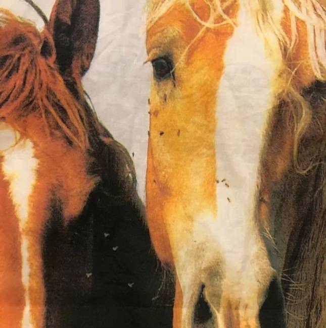 „Anyám vett egy lovas ágyneműt, én meg éjszaka csapdostam rajta a legyeket, mert azt hittem, hogy az egész takarót legyek borítják. Kiderült, hogy ezek a képen vannak."