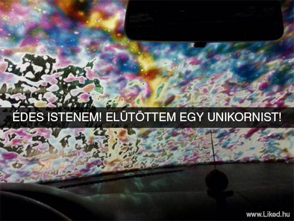 🦄
