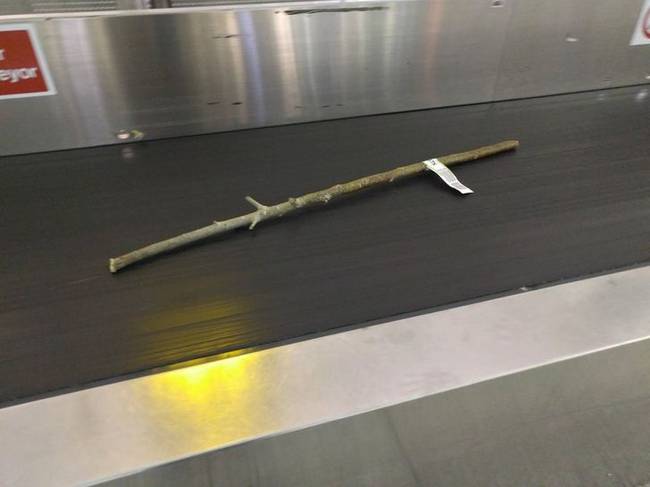 „Valaki poggyászként adta fel ezt a botot."