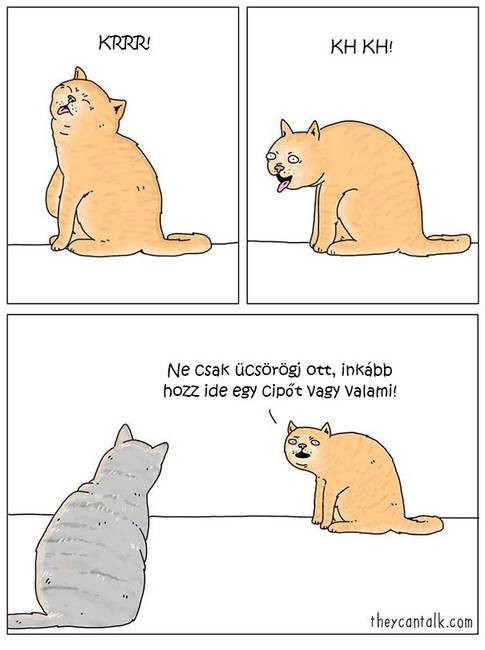 16 vicces képregény, ami segít, hogy egy kicsit jobban megértsük az állatok gondolkodását