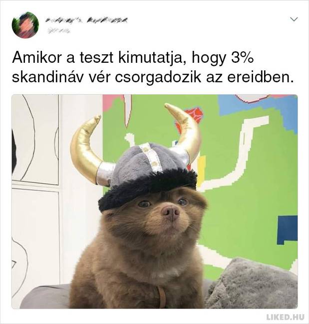 21 Tweet olyan emberektől, akiknek a humorérzéke olyan hatalmas, hogy a Holdról is látható