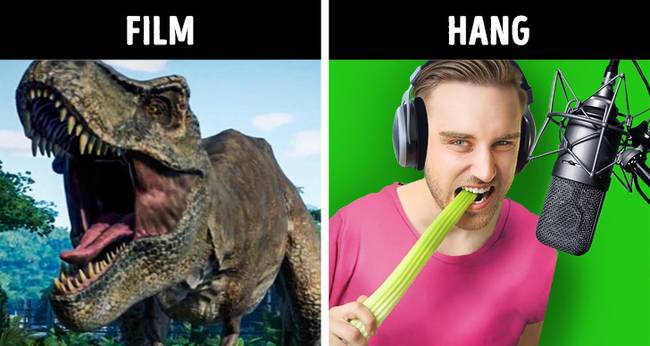 Törés és zúzás hangok - zeller.