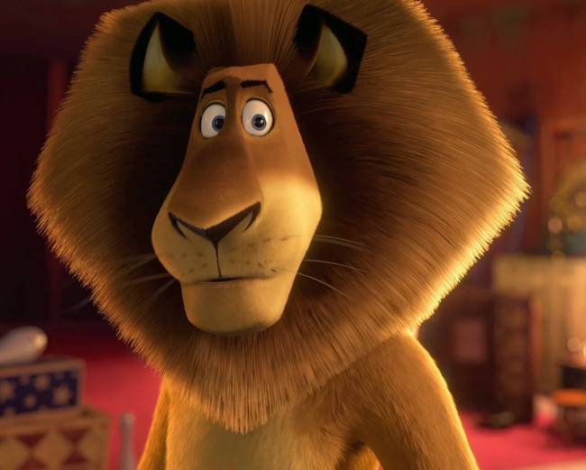„Egyszer valaki azt mondta nekem, hogy Jake Gyllenhaal úgy néz ki, mint az oroszlán a Madagaszkárból. Azóta nem tudok másra koncentrálni."
