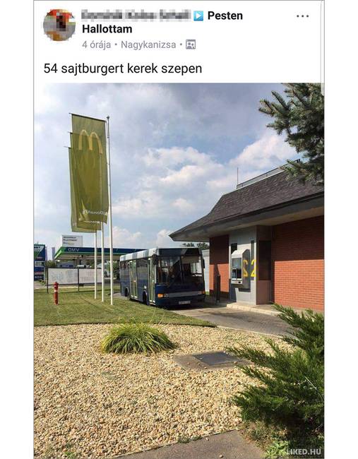 Mennyit győzködhették a buszsofőrt, mire beadta a derekát...😂