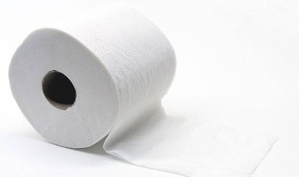 127 ezer fát vágnak ki minden egyes nap csak azért, hogy a WC-papírt készítsenek belőlük.