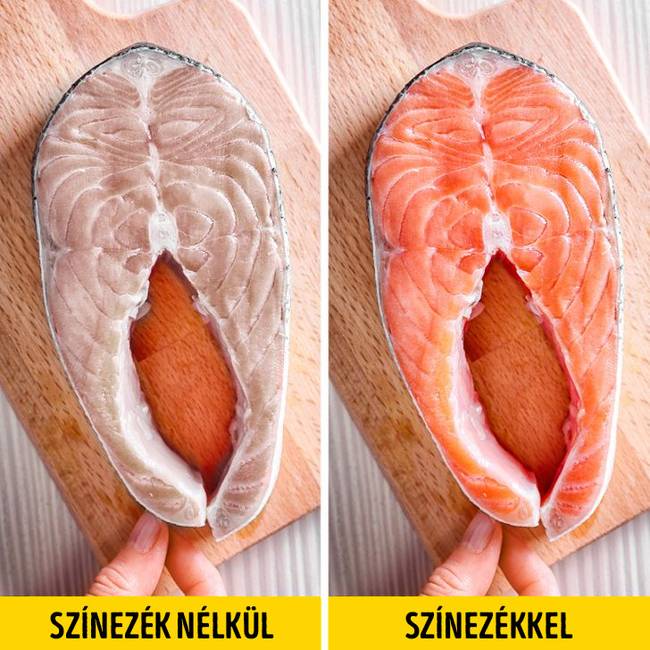 A tenyésztett lazacok húsa valójában fehér és szürke.