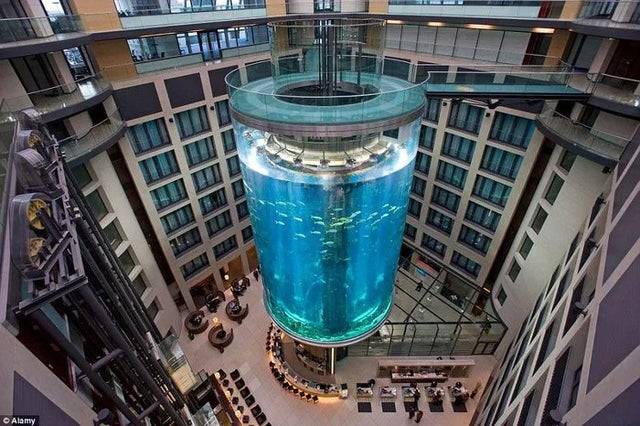 Végezetül egy páratlan akvárium-lift, Berlinben.