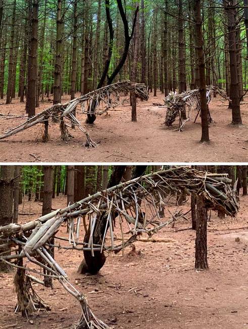 „Dinoszauruszokra bukkantam az erdőben."