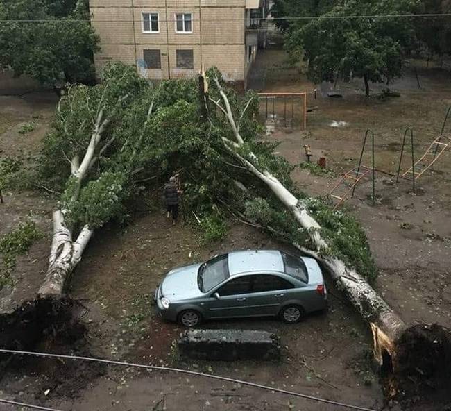 „Tegnap borzalmas vihar volt, de ennek az autónak a tulajdonosa nagyon szerencsés volt."
