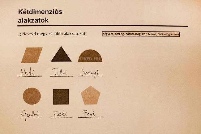 Sajátosan ugyan, de tény, hogy elvégezte a kért feladatot.